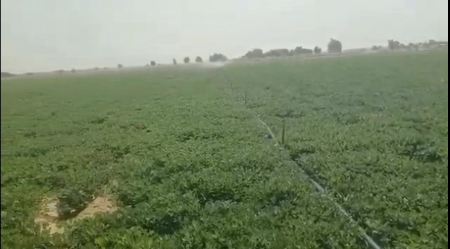 36VM+PQ Marriguda, Nalgonda, Telangana, India