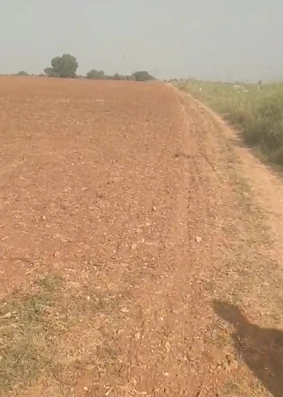 HHF7+RC Polkampalle, Nagarkurnool, Telangana, India