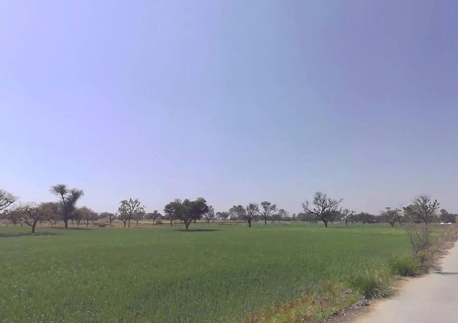 Khatoo, Rajasthan 332602, India preview 2