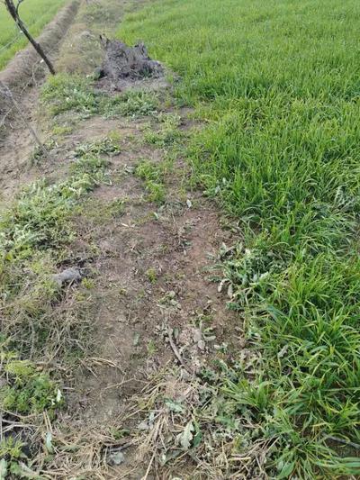 Shahgarh, Uttar Pradesh 276406, India preview 2