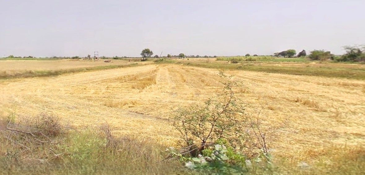 Parashurampuri, Uttar Pradesh 242221, India