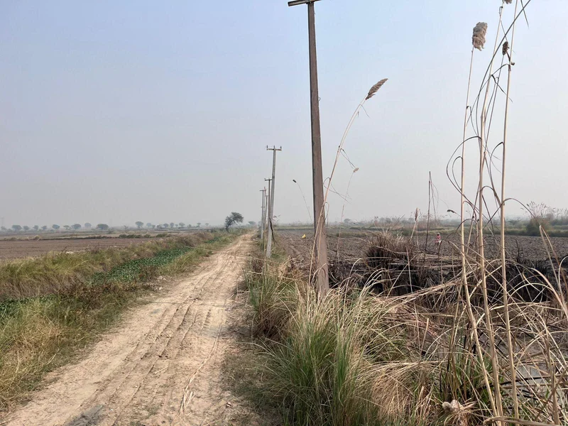 Pondri, Haryana, India preview 2