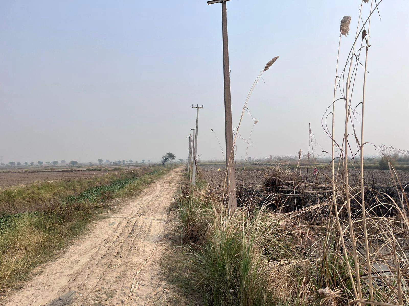 Pondri, Haryana, India