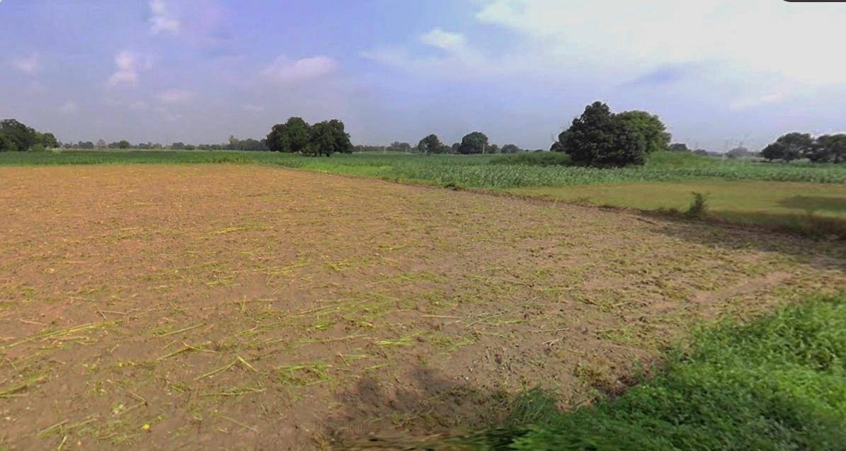 Jhajjar, Haryana 124103, India