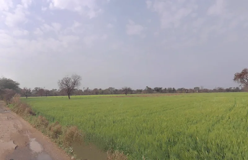 Nangal Mundi, Haryana, India preview 2