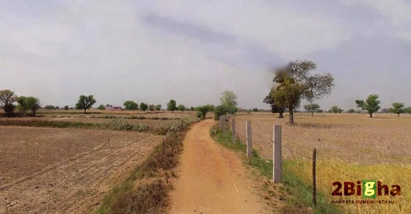 Chandla, Madhya Pradesh 471525, India preview 2