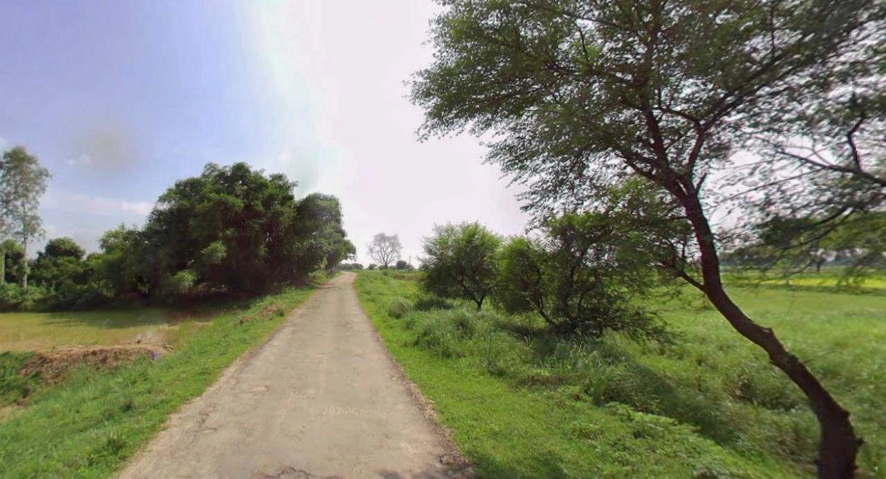 Jhajjar, Haryana 124103, India