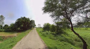 Jhajjar, Haryana 124103, India preview 3