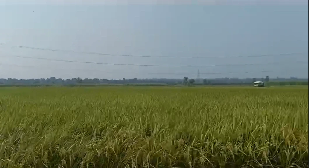 Bijnor, Uttar Pradesh 246701, India