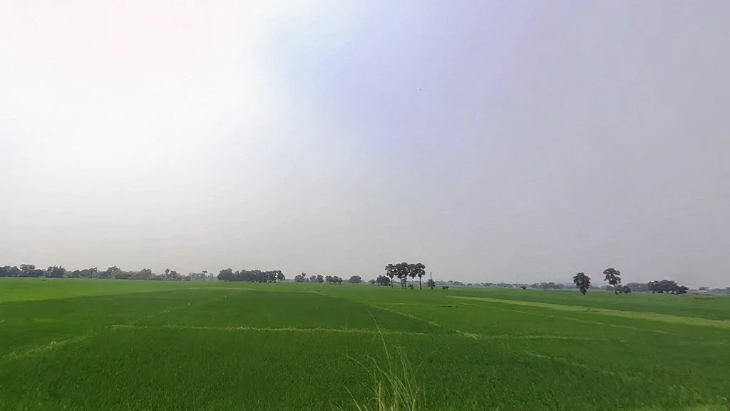 Sondhi, Bihar 811311, India