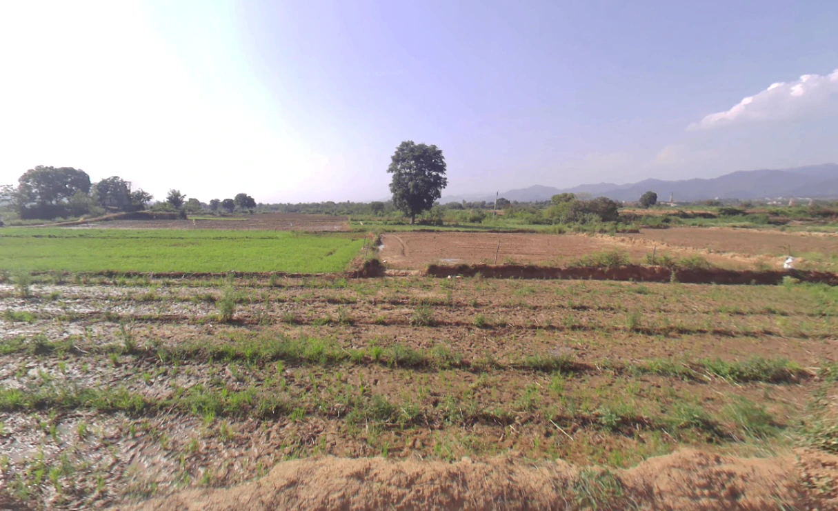 Bargodam, Kalka, Haryana 133302, India