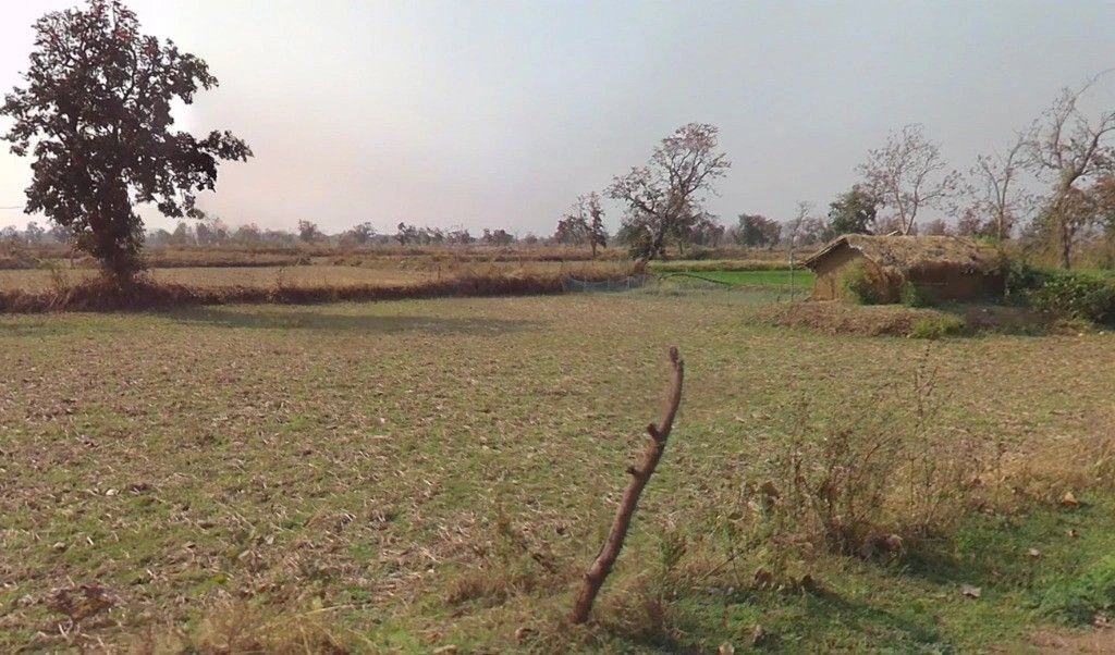 Chandan, Chhattisgarh 491335, India
