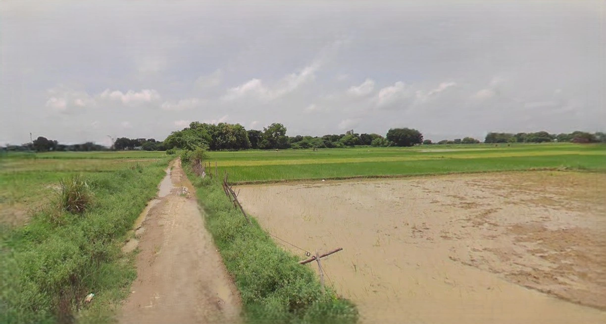 Barnagar, Madhya Pradesh 456771, India