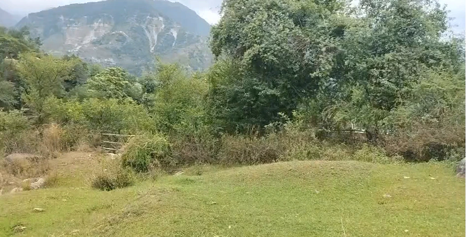 Baijnath, Himachal Pradesh, India