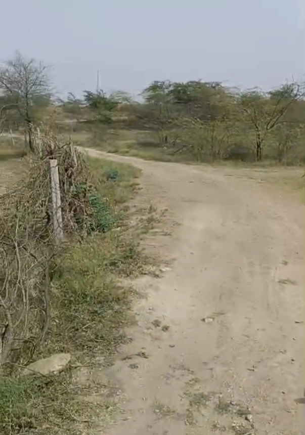 555 & 556, Distt, Mahela, Nasnoda, Jaipur, Rajasthan 303007, India