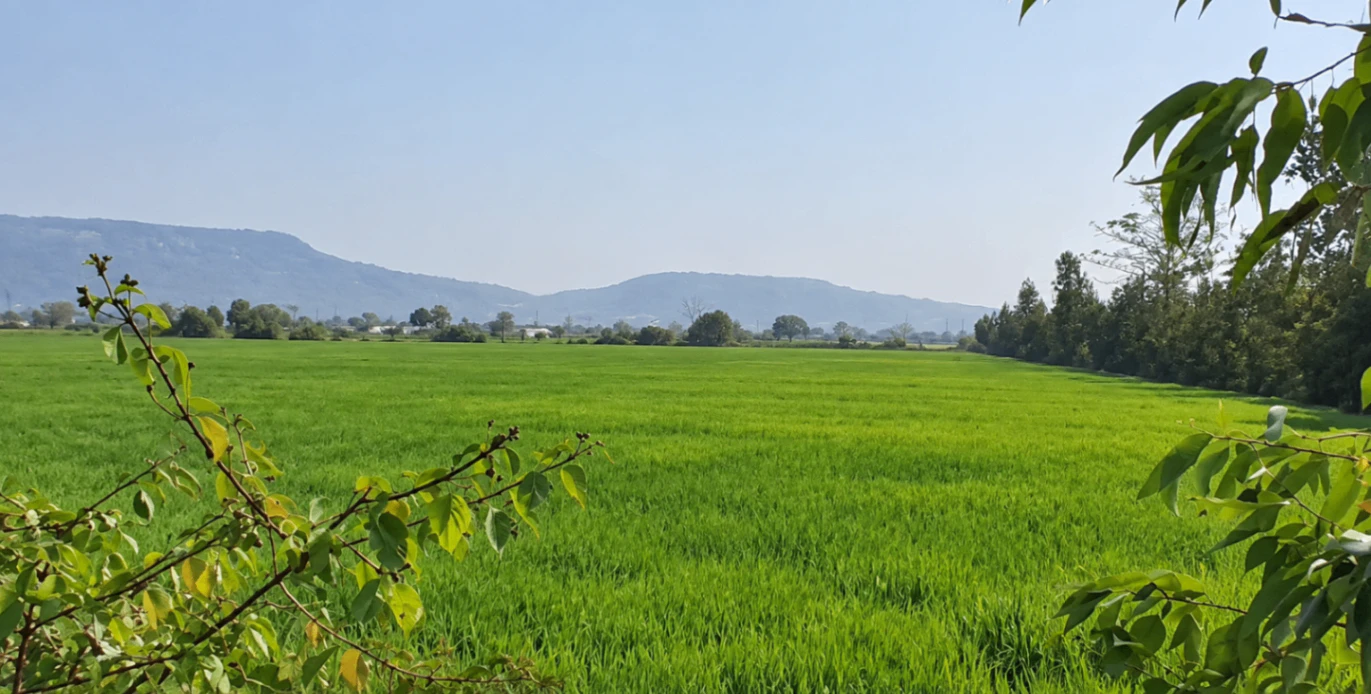 2237+R9 Chheriha Khurd, Chitrakoot, Uttar Pradesh, India