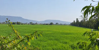 2237+R9 Chheriha Khurd, Chitrakoot, Uttar Pradesh, India preview 3