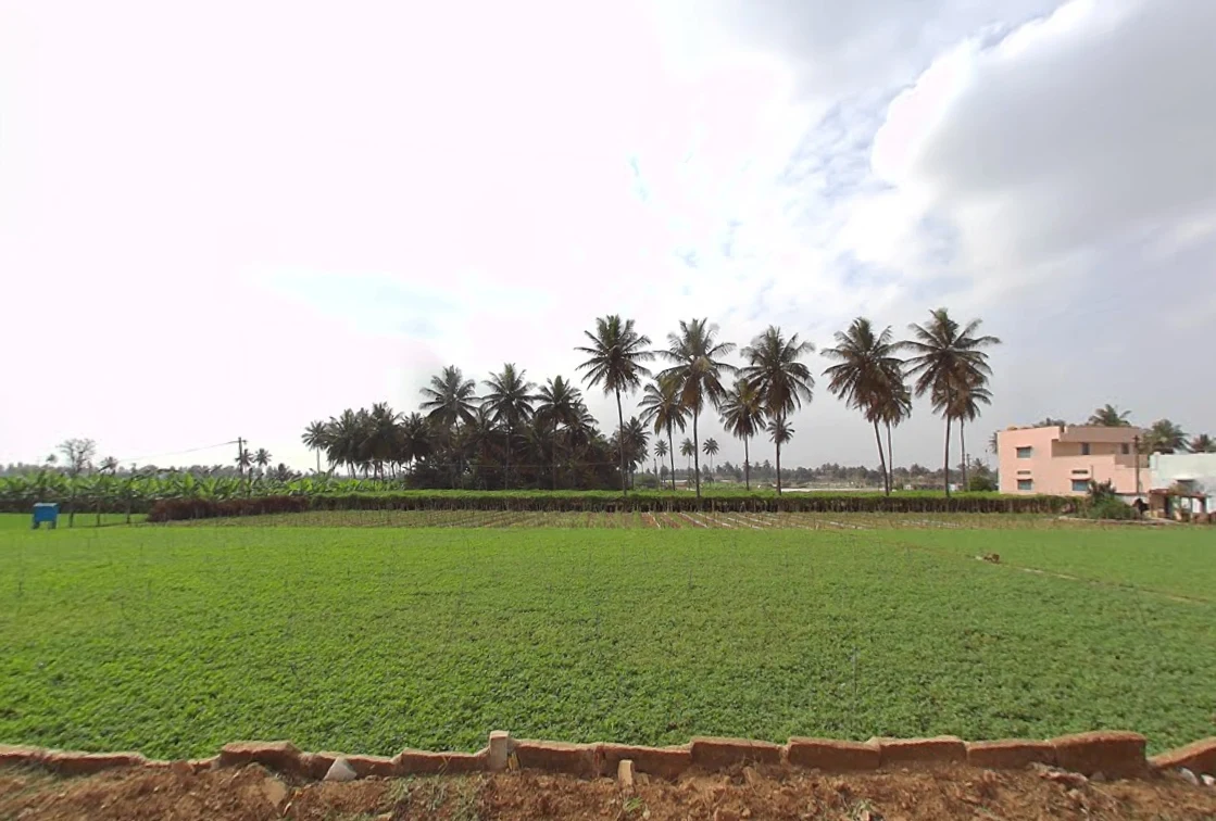 Malur, Karnataka 563130, India