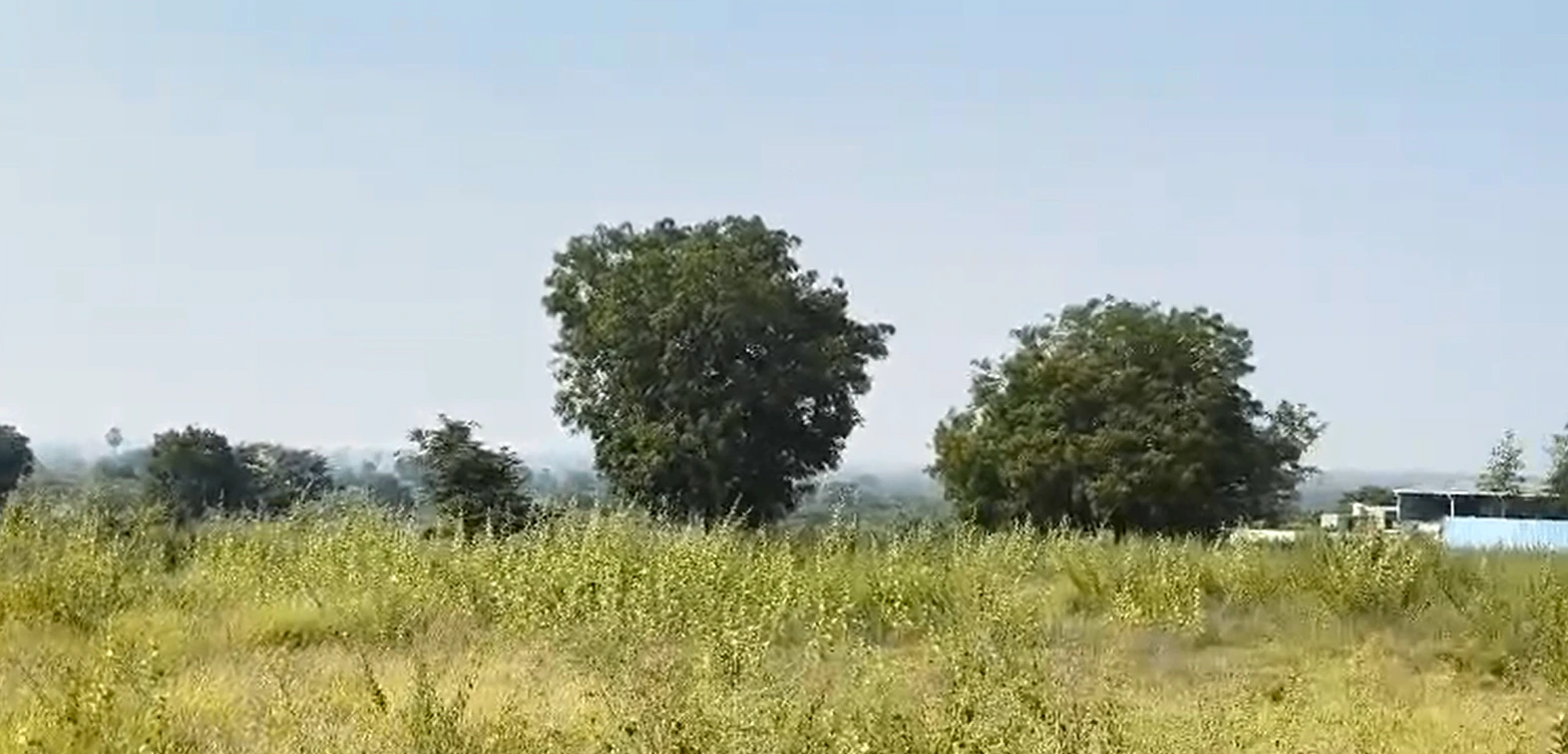 FXRW+CV Chakrampalle, Vikarabad, Telangana, India - Photo 3