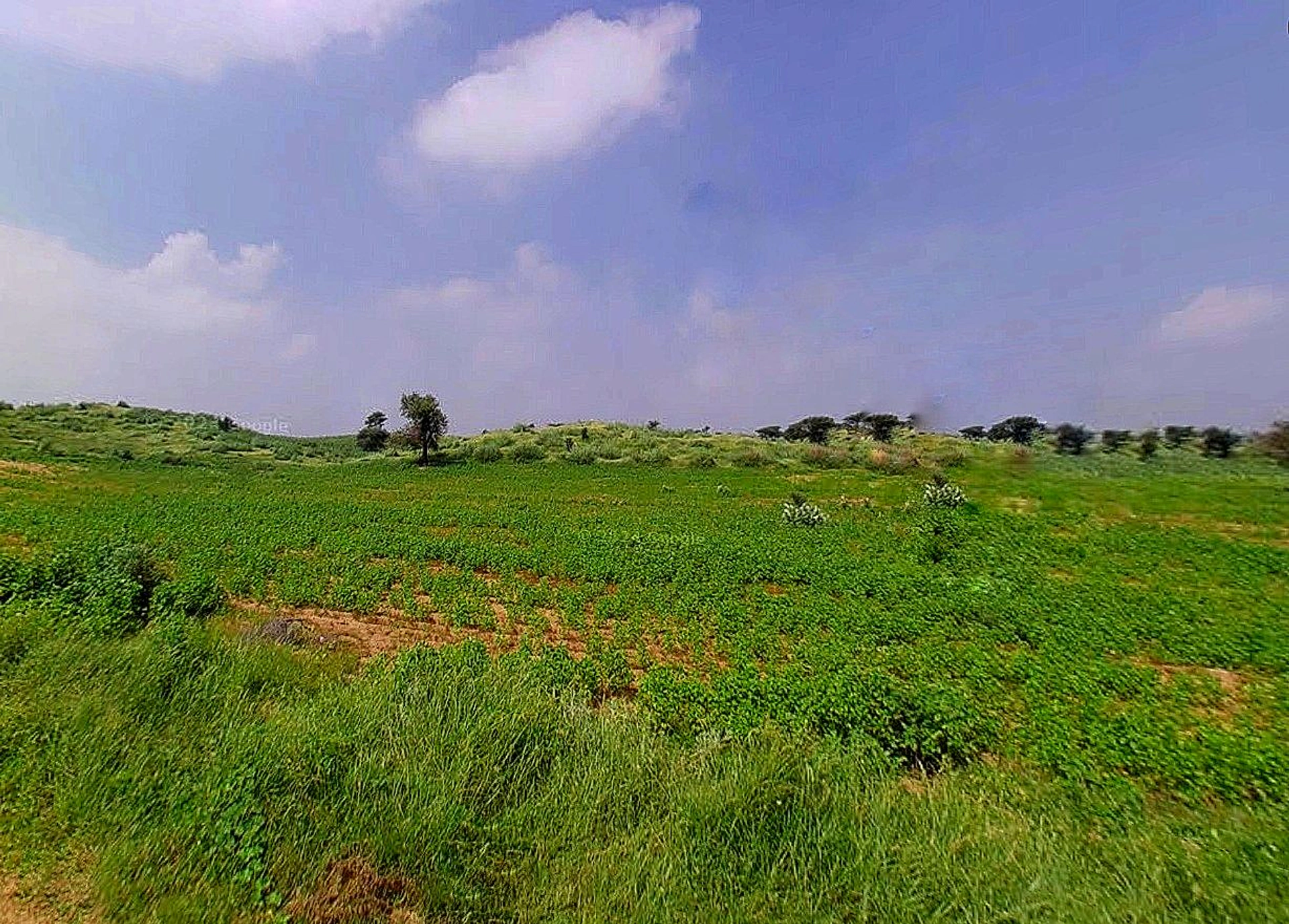 Bihta-Sakaddi Rd, Modahi, Bihar, India