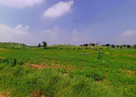 Bihta-Sakaddi Rd, Modahi, Bihar, India preview 2