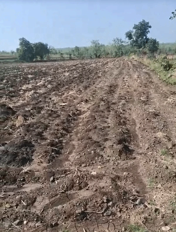 Kalmer Badi, Indore, Madhya Pradesh, India