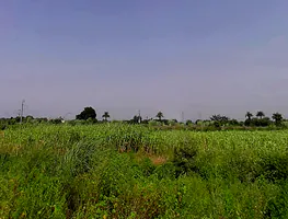 Naugawan Sadat, Uttar Pradesh 244251, India preview 3