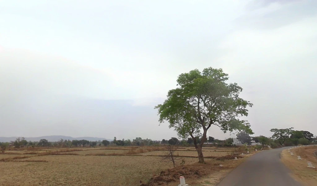 Nawadih, Chhattisgarh 492112, India