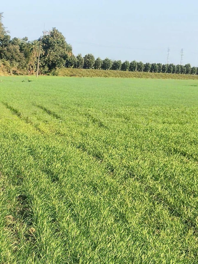 Bakaniya, Madhya Pradesh 462030, India