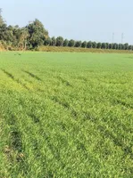 Bakaniya, Madhya Pradesh 462030, India preview 3