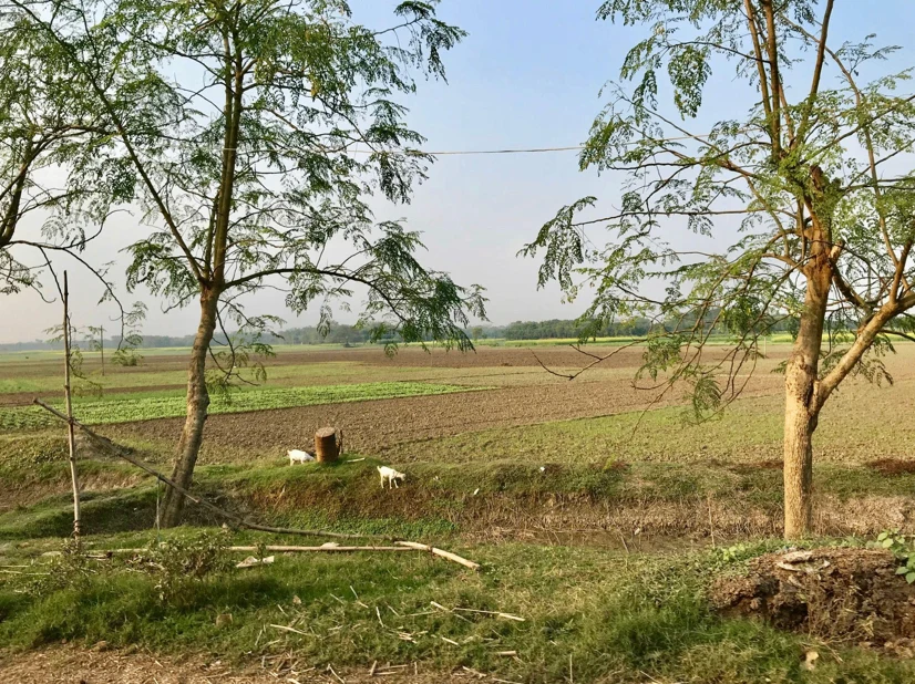 Moradabad, Uttar Pradesh, India
