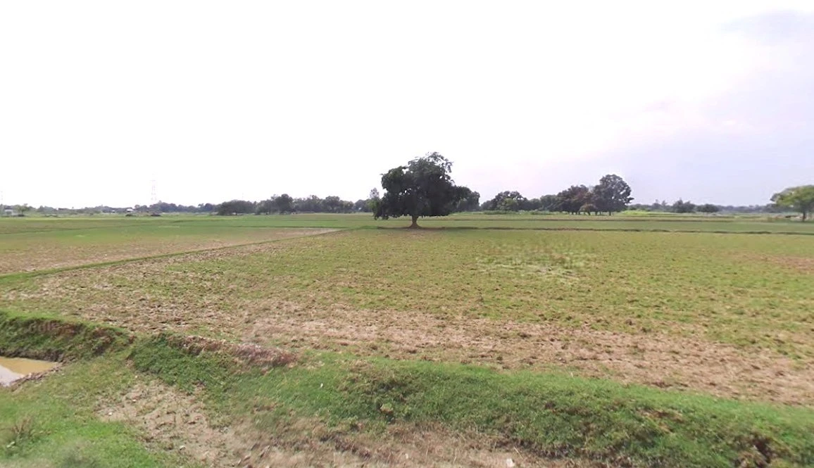 Barnagar, Madhya Pradesh 456771, India