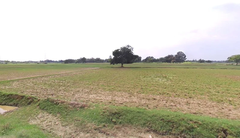 Barnagar, Madhya Pradesh 456771, India preview 2