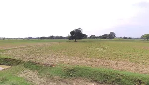 Barnagar, Madhya Pradesh 456771, India preview 2