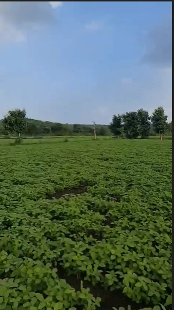 8HV5+5W8, Ujjain, Unhel, Madhya Pradesh 456221, India