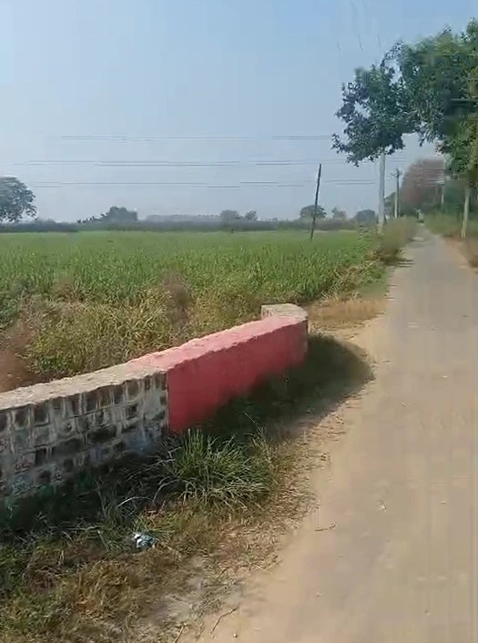 Dariyapur, Bulandshahr, Uttar Pradesh 203001, India