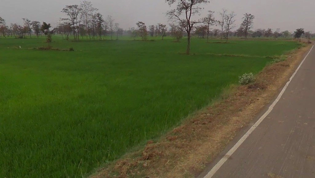 Ranka, Chhattisgarh 491335, India preview 2