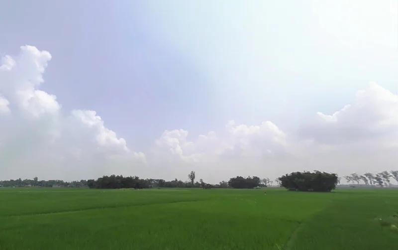 WM43+M83, Gamaharia Rd, Baijnathpur, Saharsa, Bihar 852221, India preview 3