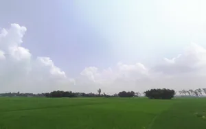 WM43+M83, Gamaharia Rd, Baijnathpur, Saharsa, Bihar 852221, India preview 3