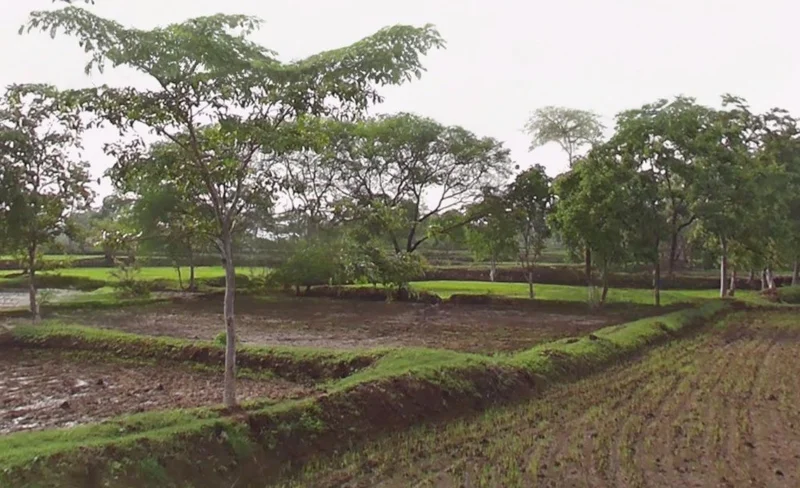 Pond, Chhattisgarh 493661, India preview 3