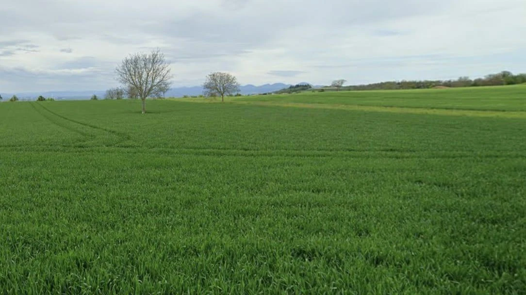 Upda, Madhya Pradesh, India