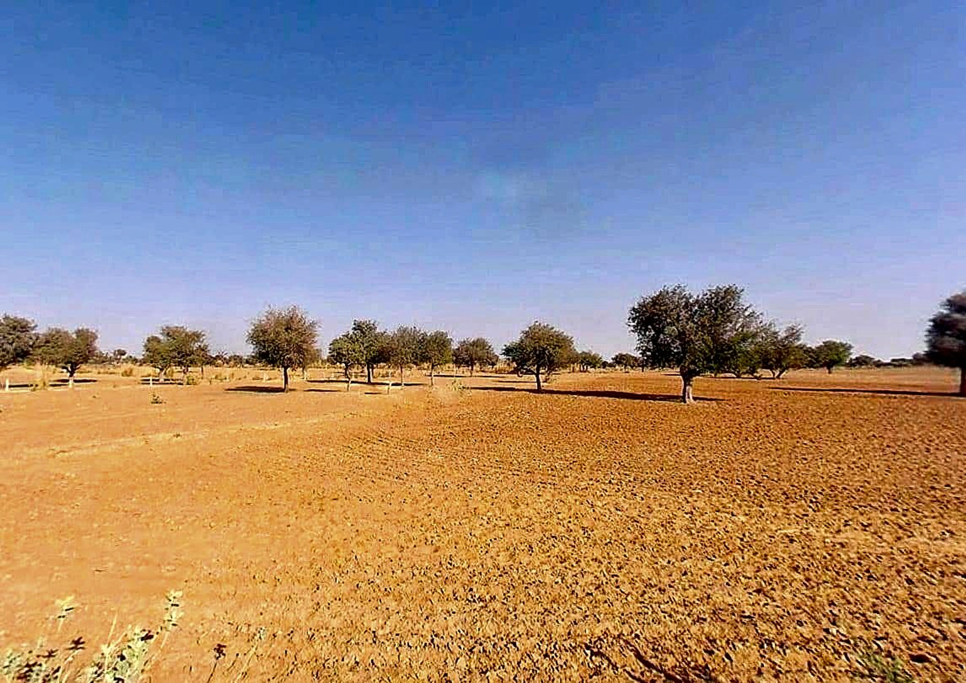 Dhani Boraj, Rajasthan 303328, India