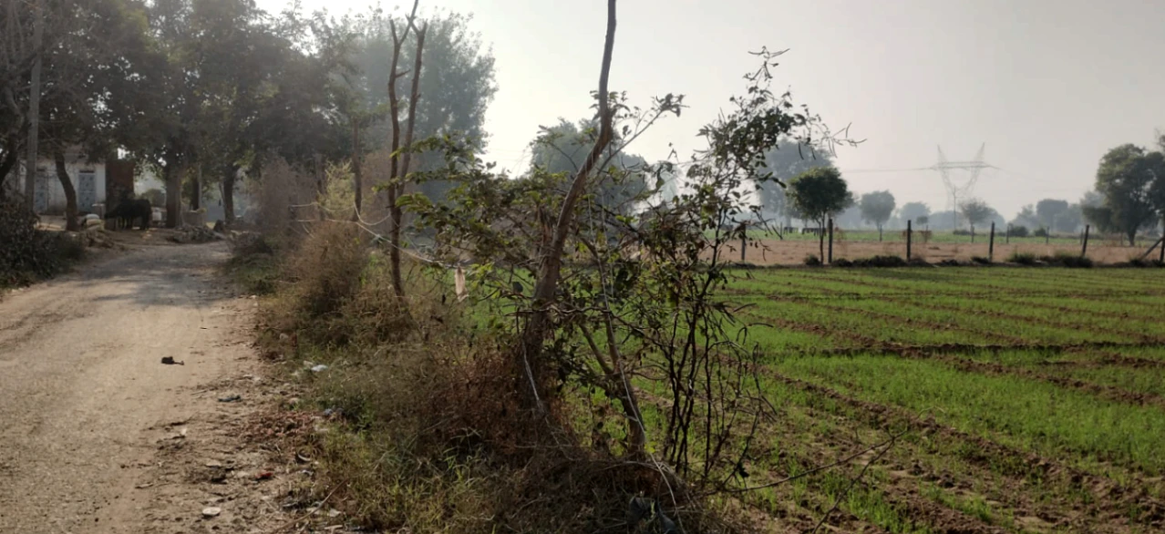 Zirakpur, Punjab, India