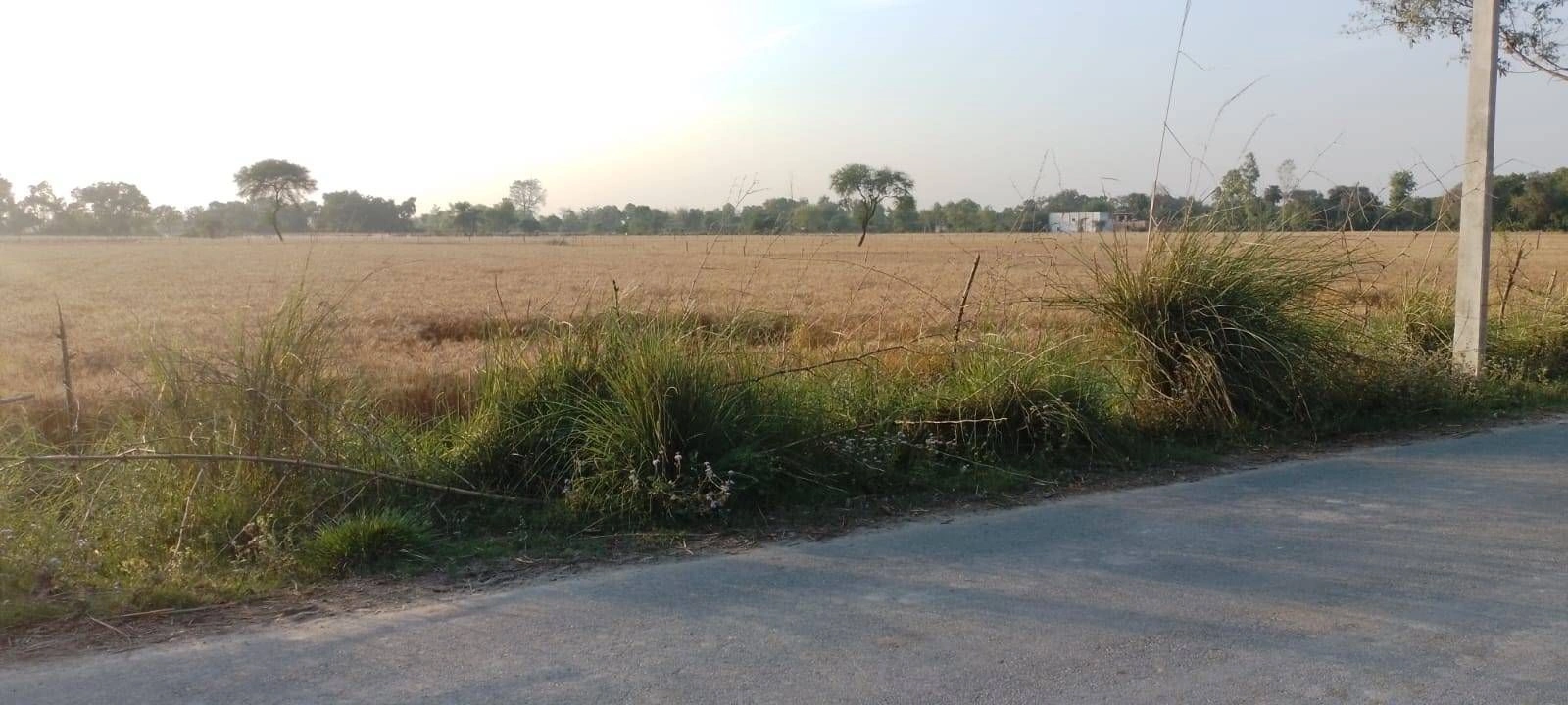 RWFG+JRV, Sastapur, Karnataka, India preview 2