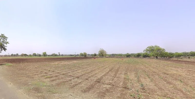 Dhapla, Madhya Pradesh, India preview 3