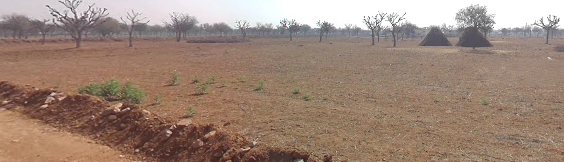 Rulana, Rajasthan, India