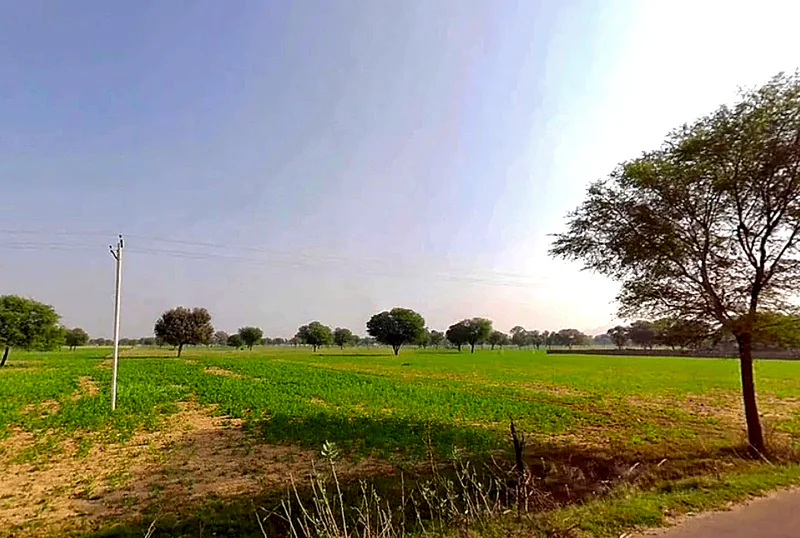 6JXX+2QF, Chomu, Govindgarh, Rajasthan 303712, India preview 3