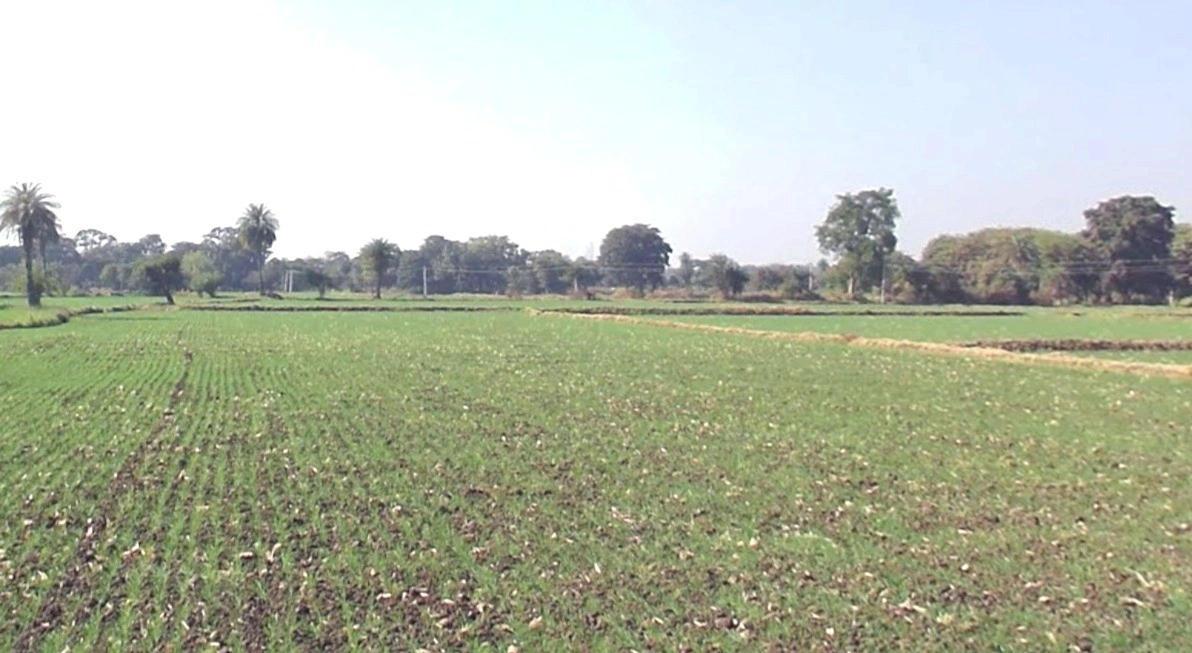 Daba, Madhya Pradesh, India