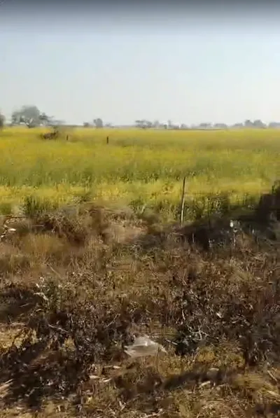 Bayana, Rajasthan 321401, India preview 2