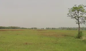 5285+345, Hastinapur, Uttar Pradesh 250404, India preview 3